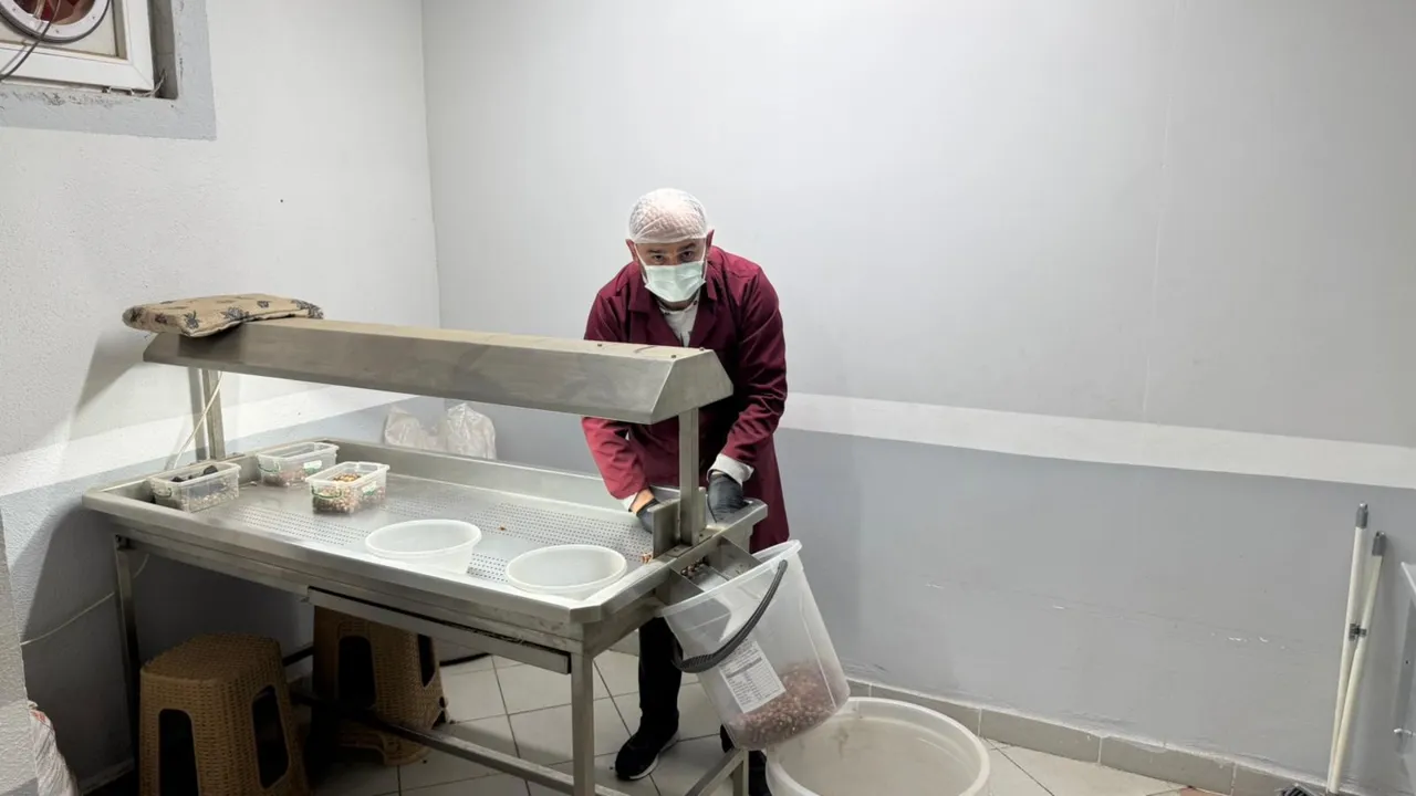 İşe bir yıl önce başladı, bütün ilçeyi kendine bağladı!  Gelen bir daha geliyor 