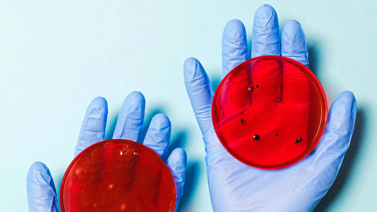 Mutasyonlu grip virüsü