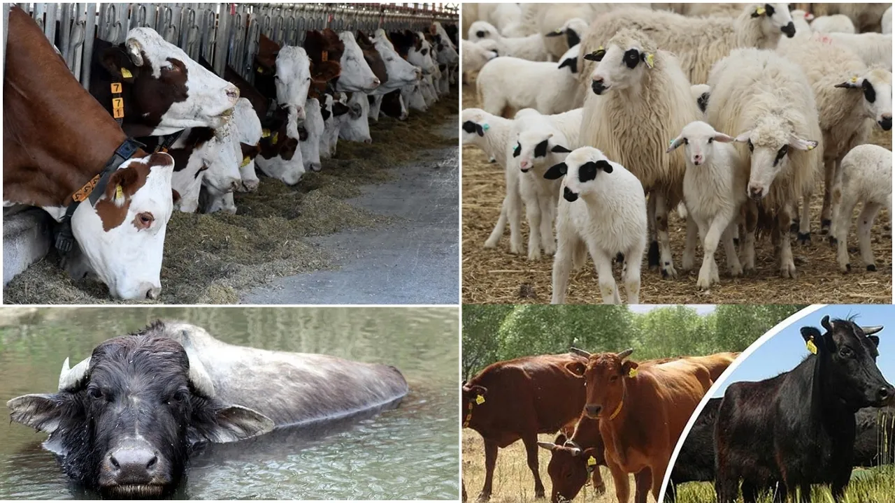 Tarım ve Orman Bakanlığından 2,7 milyar liralık destek!