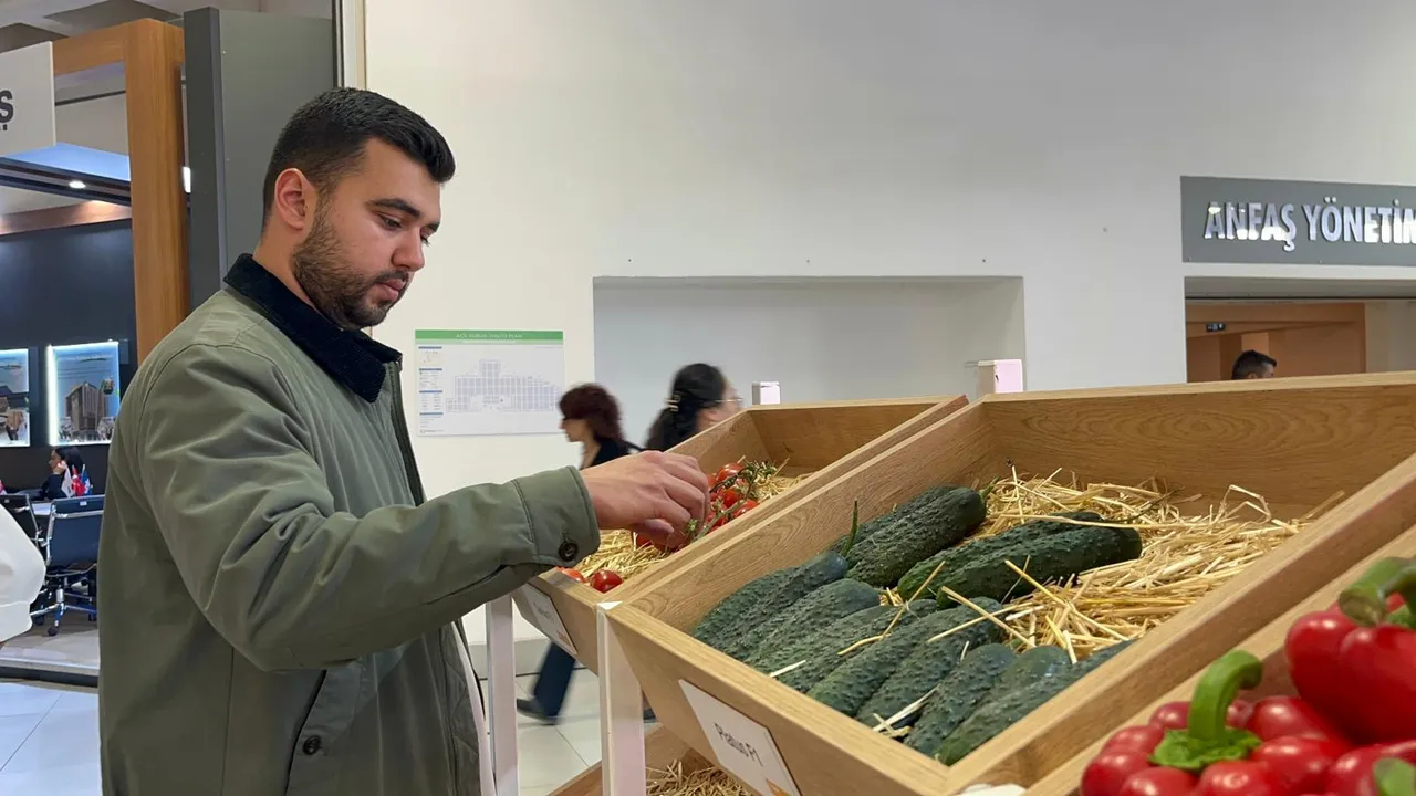 Tohum ihracatında artış! İhracat bu sene 35 milyon dolar