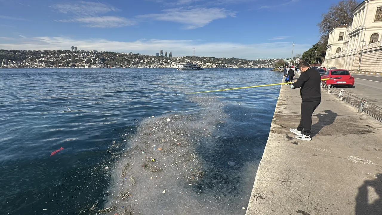 Denizanalarını müsilaj nedeniyle kıyıya vurduğu düşünülüyor