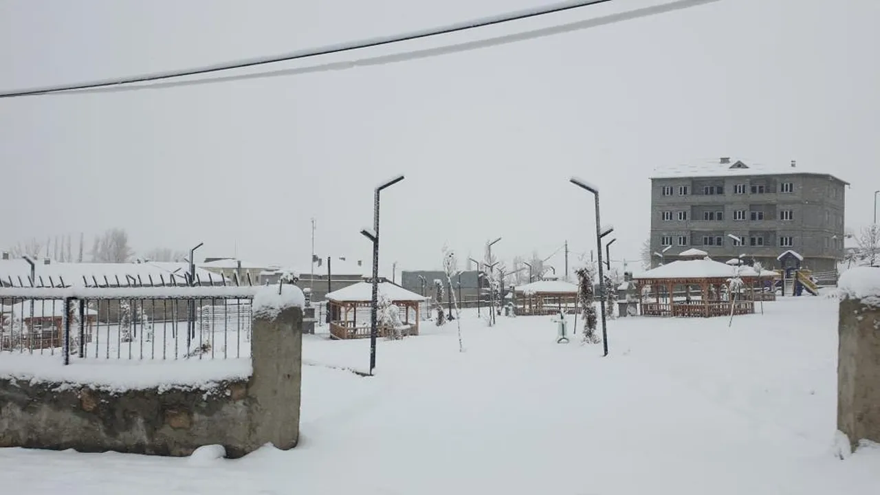 Başkale'de köy yolları kapandı, araçlar karla kaplandı