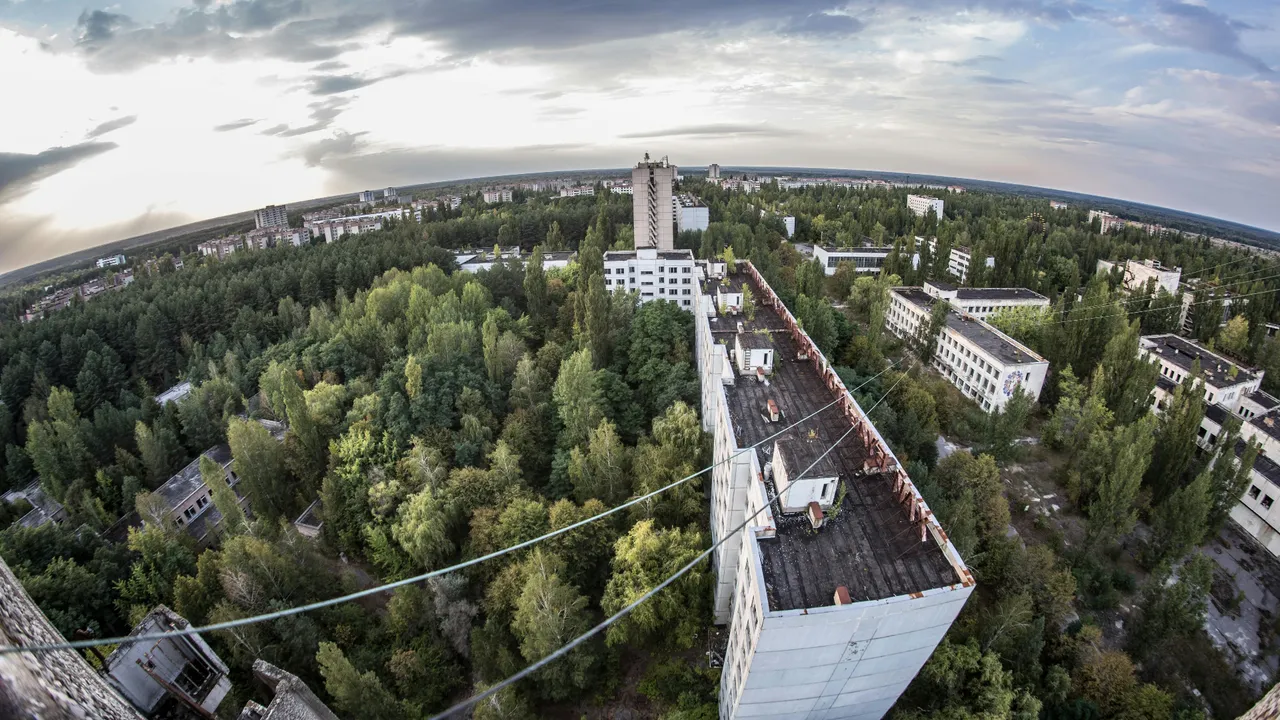 Çernobil'deki köpeklerin renginin maviye dönmesinin nedeni ortaya çıktı