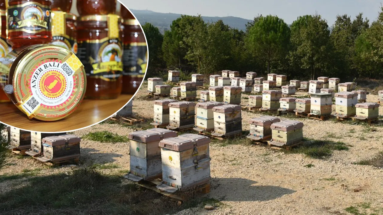 Kilosu 20 bin lirayı buluyor! Yılda 10 ton üretiliyor, 100 ton sahtesi satılıyor