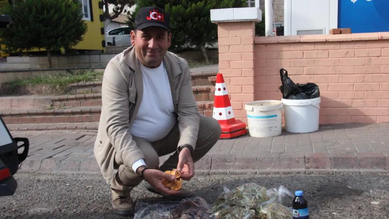 Lezzeti damak çatlatıyor! Kilosu 300 TL'den tezgahta