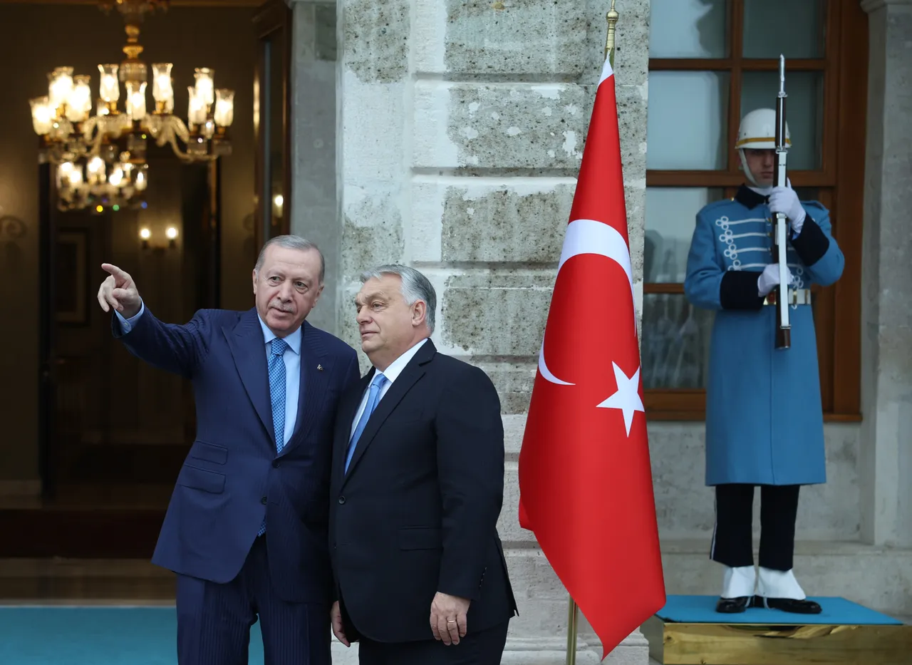 Erdoğan-Orban görüşmesi: Türkiye ile Macaristan arasında 16 anlaşma
