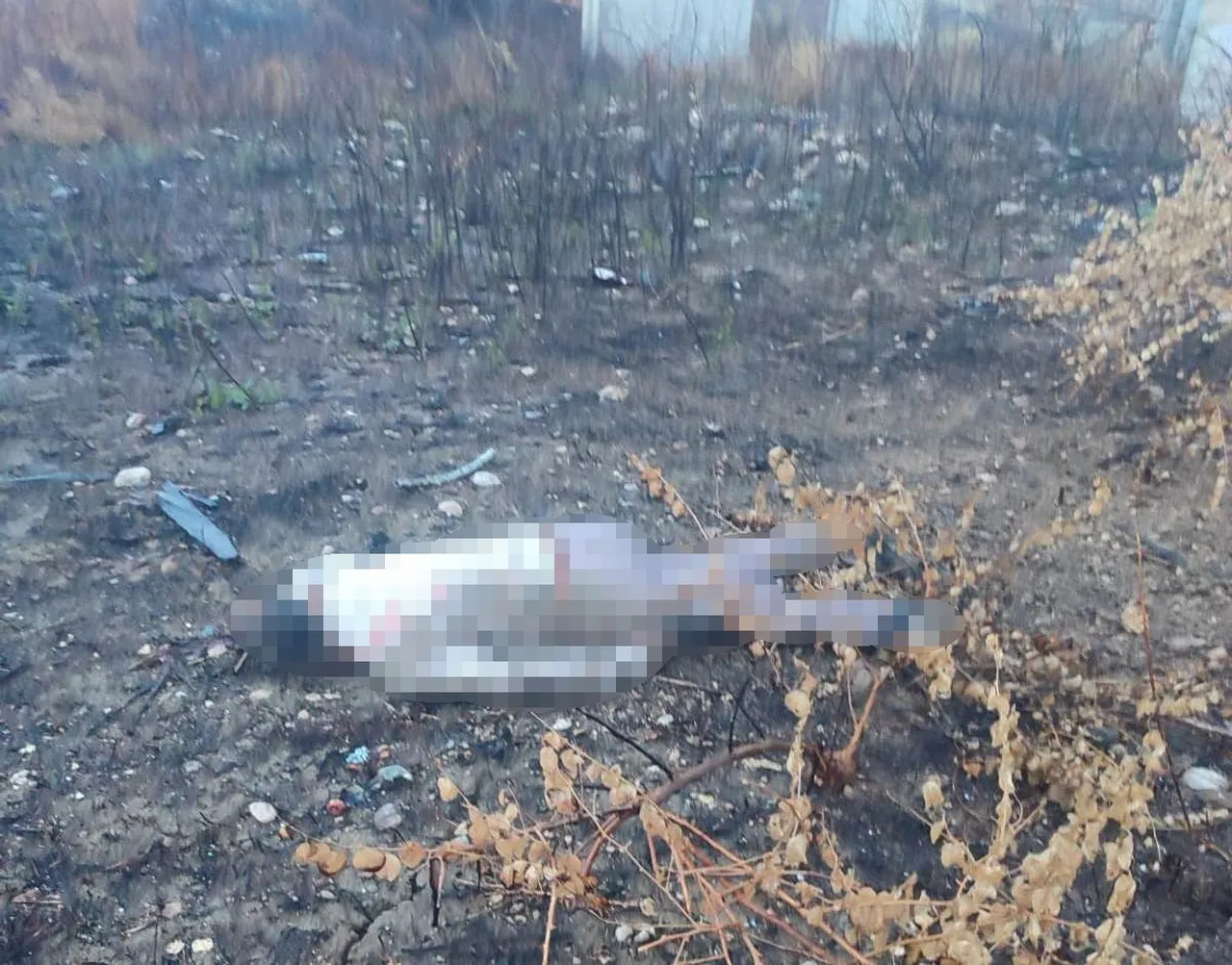 Mersin'de sır ölüm! Cansız bedeni 30 metre aşağıda bulundu