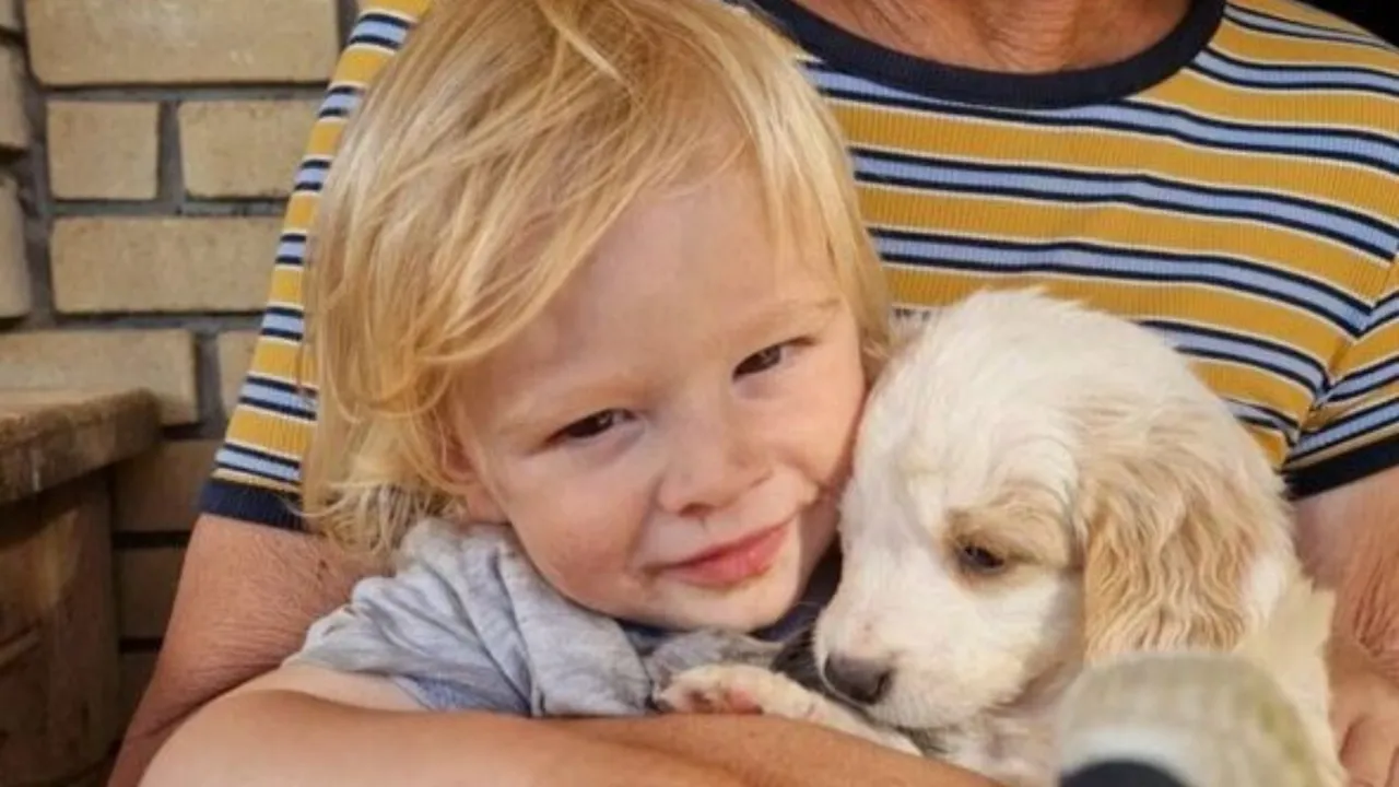 Pitbull iki yaşındaki çocuğu parçalayarak öldürdü: Yunanistan'da feci olay!