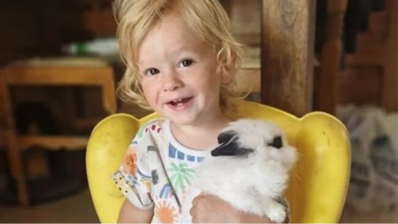 Pitbull iki yaşındaki çocuğu parçalayarak öldürdü: Yunanistanda feci olay!