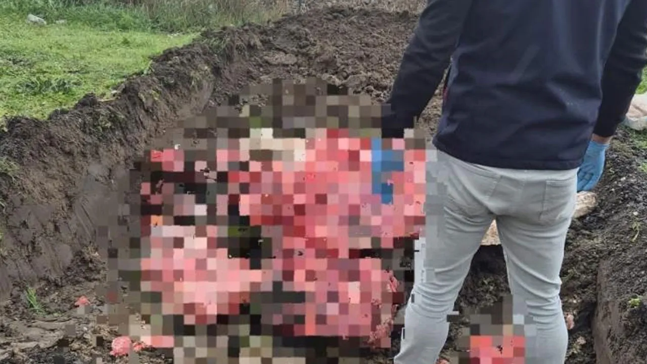 Tekirdağ'da 1 ton menşei belirsiz hayvansal ürün ele geçirildi