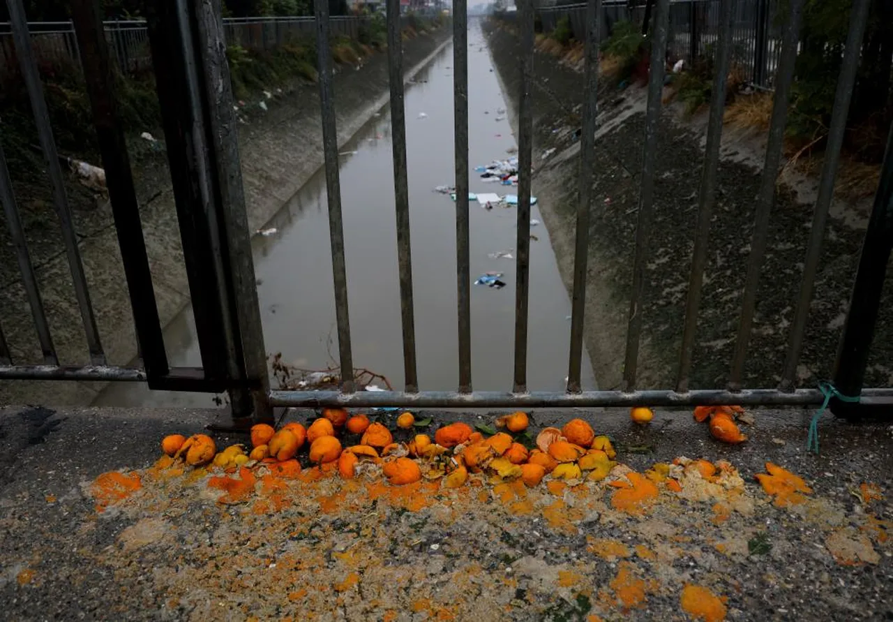 Adana'yı örümcek ağı gibi saran kanallar çöplüğe döndü!