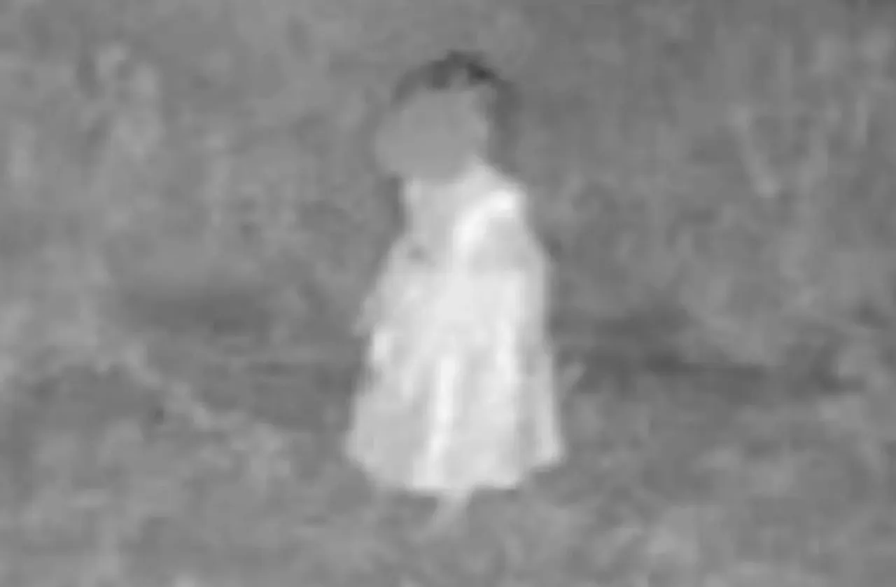 Annesi saatlerce gizlemiş! 2 yaşındaki çocuk ormanda bulundu