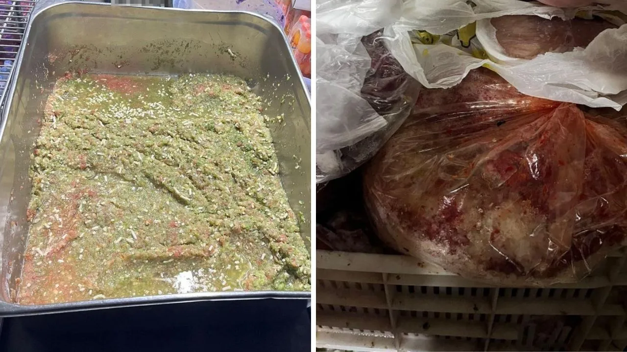 Yarım tondan fazla bozuk gıda ele geçirildi