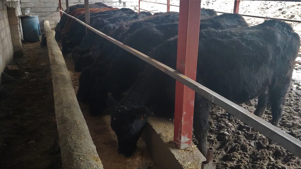 Atama bekleyen genç kızın hayatını devlet desteğiyle değişti