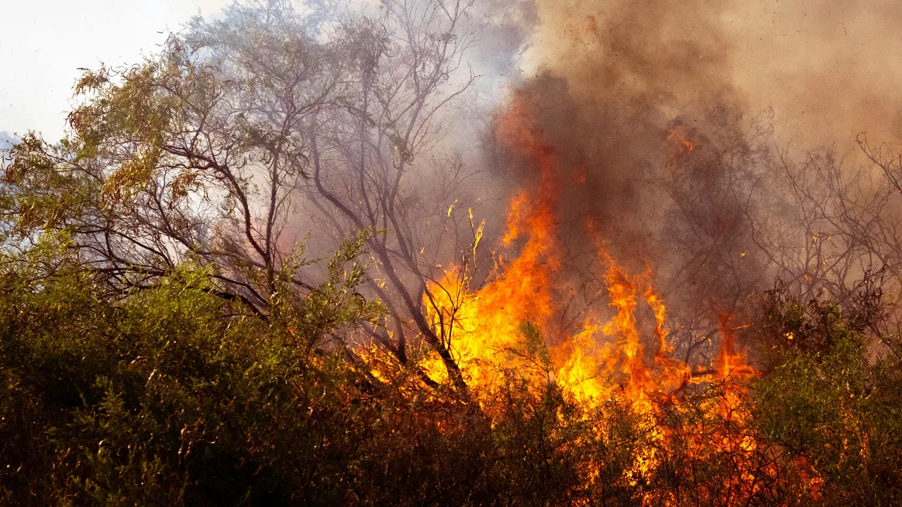 Bilim insanlarından felaket uyarısı: 2025 sıcaklık rekoru kıracak!