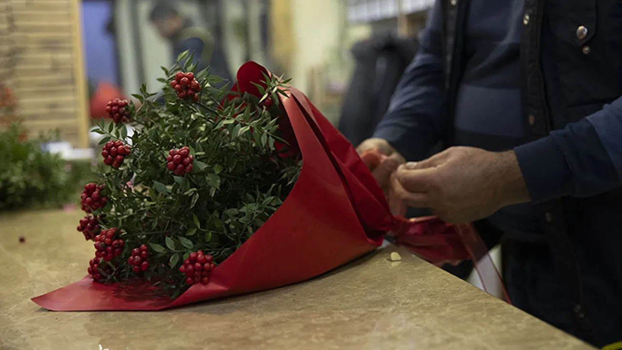 Dağlardan toplanıyor, adeta yok satıyor