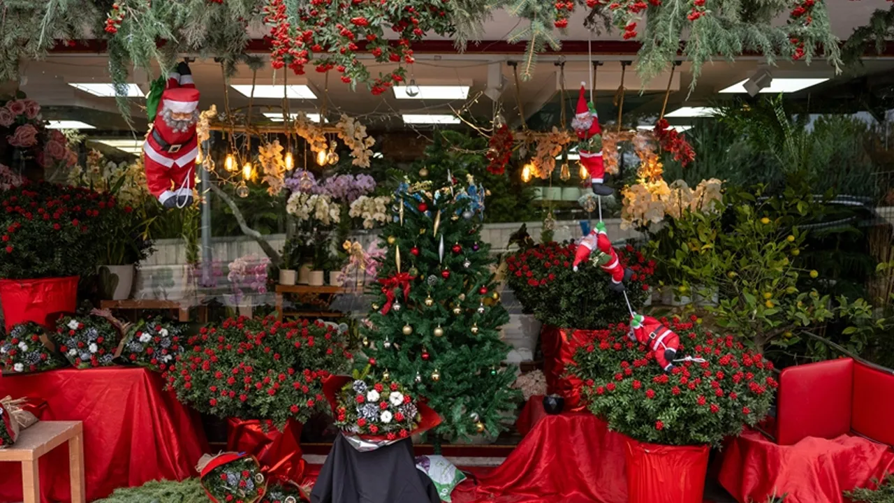 Dağlardan toplanıyor, adeta yok satıyor