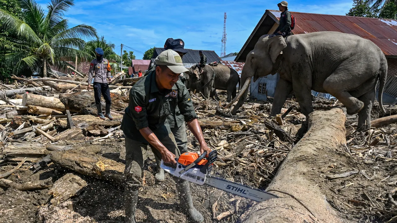 En az 950 kişi hayatını kaybetti! Fillerden yardım istediler