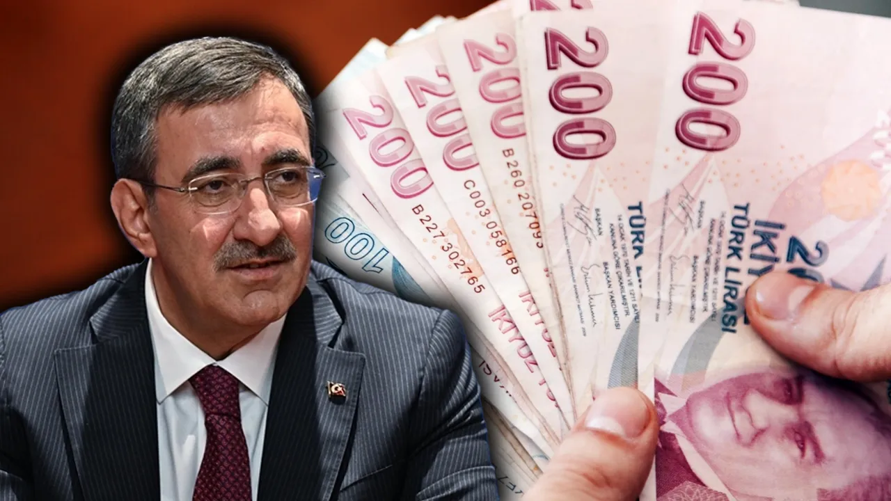 Geliri olmayana 1 asgari ücret! Vatandaşlık maaşının başlangıç tarihi belli oldu 