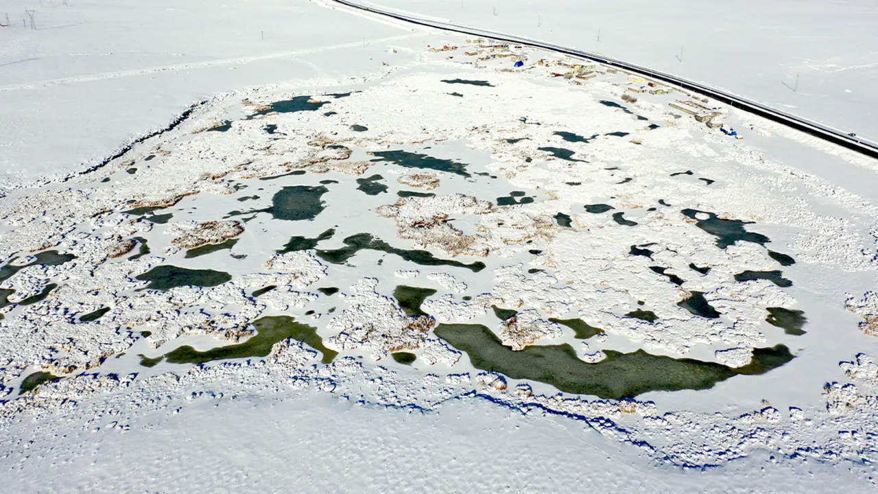 Göçmen kuşları ağırlayan Çalı Gölü dondu
