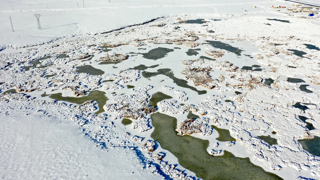 Göçmen kuşları ağırlayan Çalı Gölü dondu