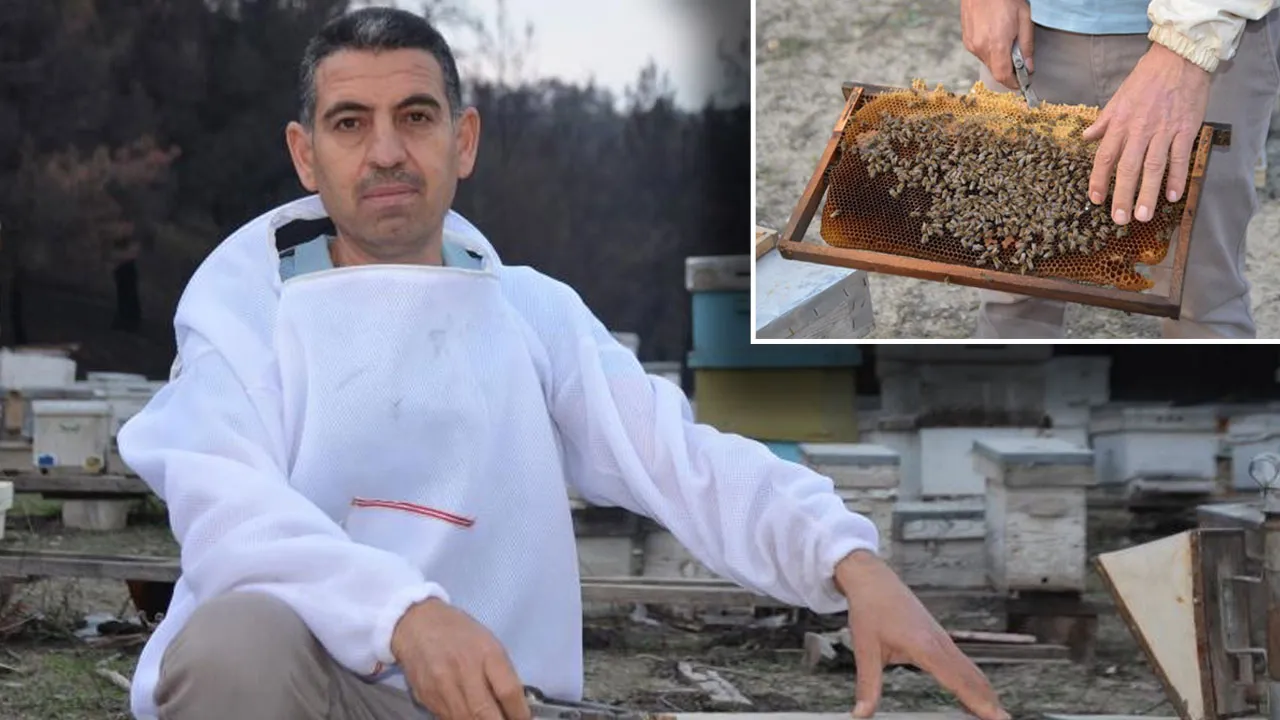 Hobi olarak başladığı arıcılıkta marka oldu! Türkiye'nin dört bir yanına koloni gönderiyor