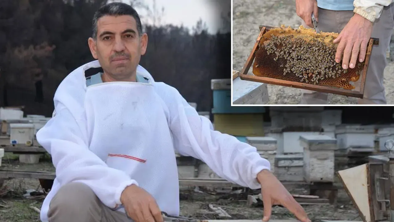 HOBİ OLARAK BAŞLADI