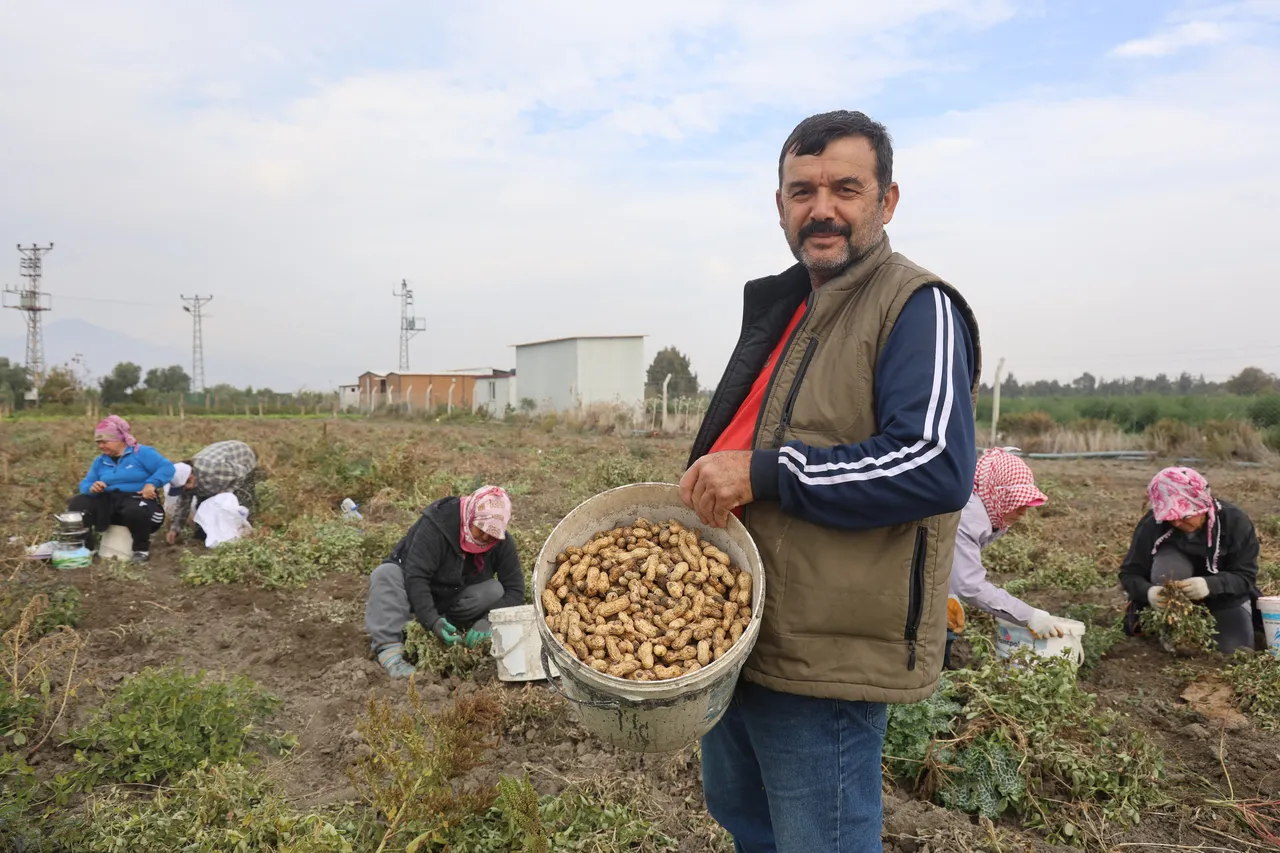 Kuraklık verimi yarı yarıya düşürdü! Tarlada 60, markette 150 lira