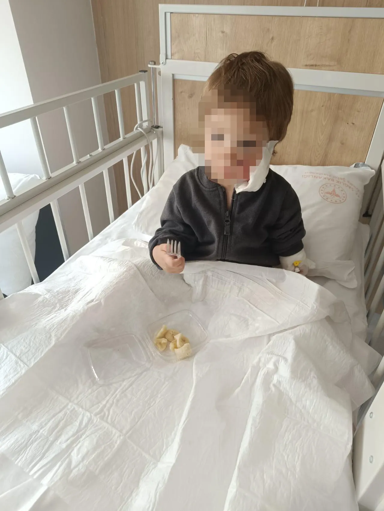 Pitbull dehşetinden kurtulan 1,5 yaşındaki Efe'den haber var: Kuduz riski...