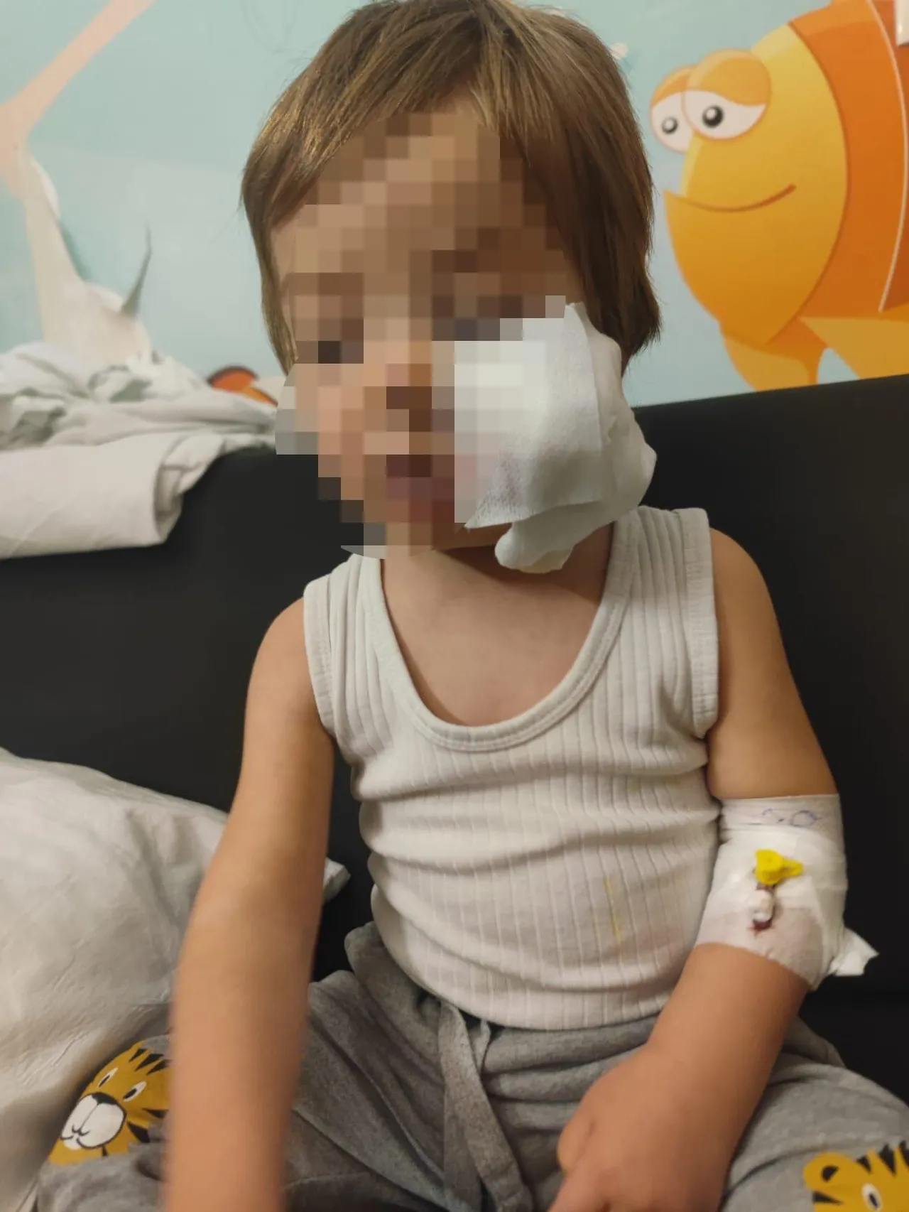 Pitbull dehşetinden kurtulan 1,5 yaşındaki Efe'den haber var: Kuduz riski...