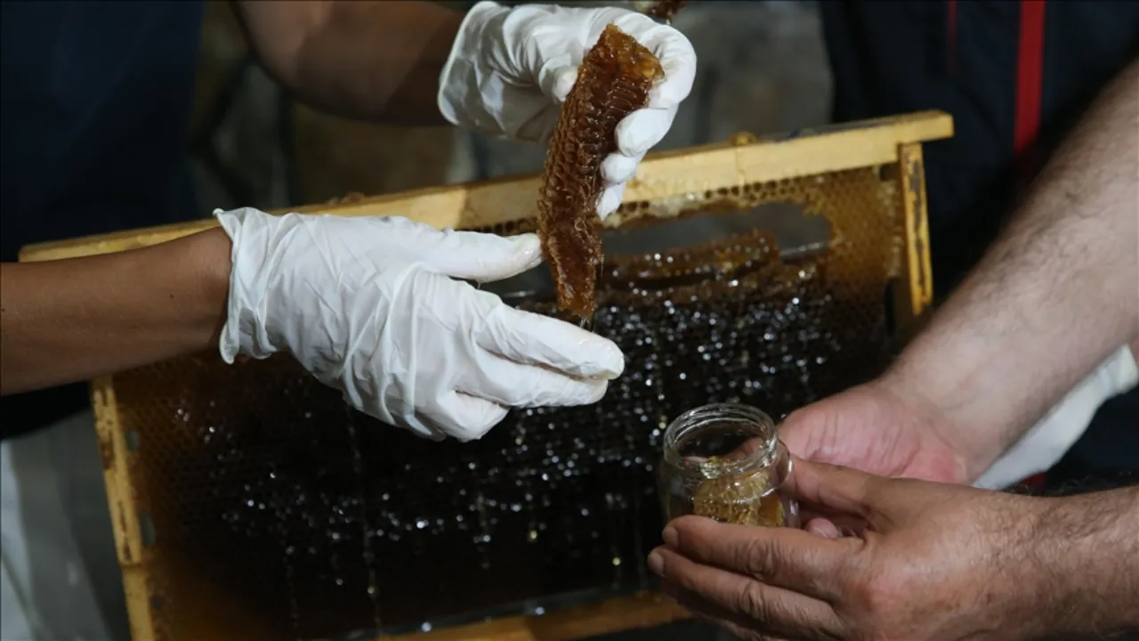 Taklitleri 10 kat arttı, kilosu 20 bin lirayı buluyor! Anzer balı 10 ton üretiliyor, 100 ton satılıyor