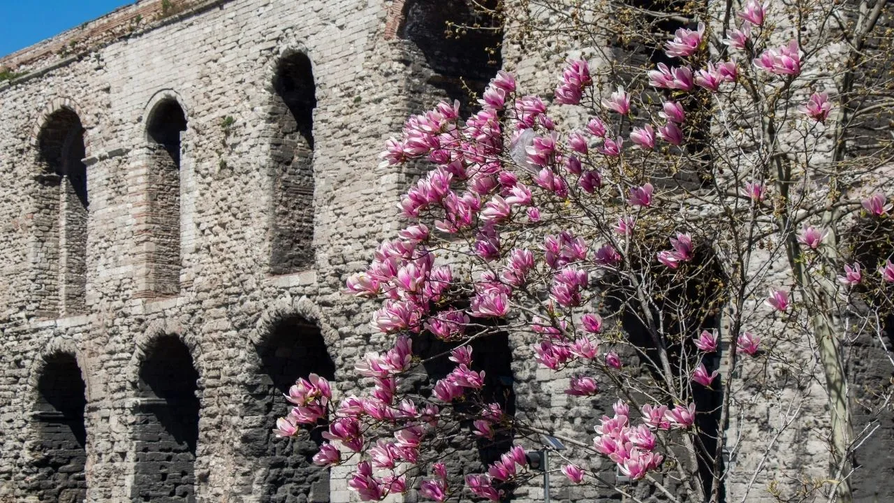 Valens su kemeri nerede, Türkiyede mi?