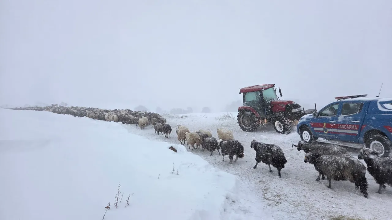 Artvinde çığ felaketi! 2 kişiyi arama çalışmaları sürüyor