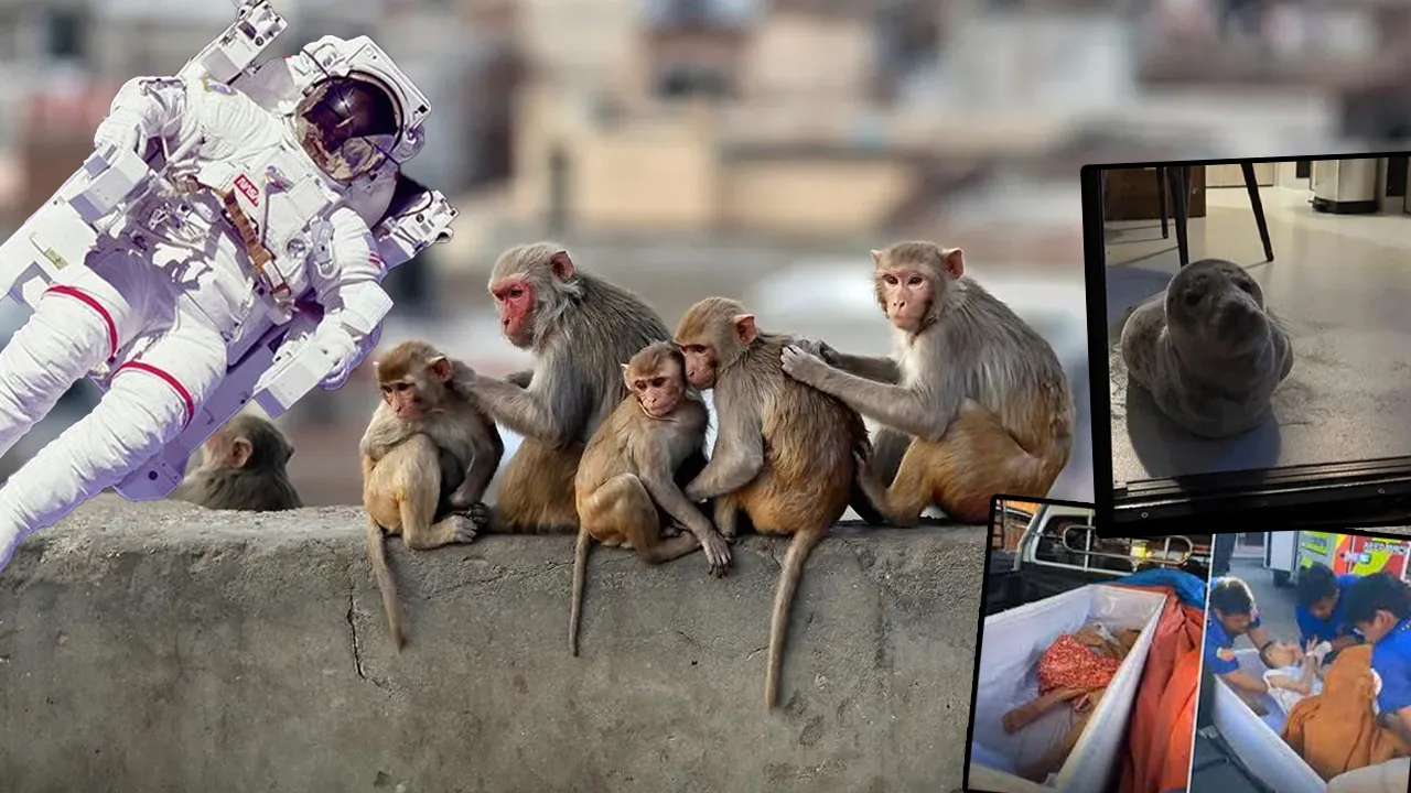 İnsanlık 2025'i böyle yaşadı: Dünyanın başına neler geldi neler?