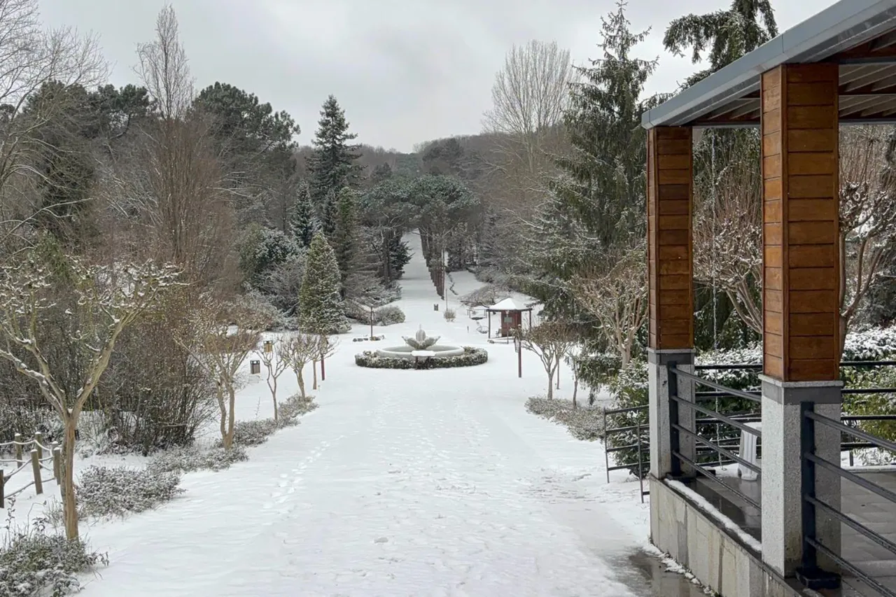 İstanbul'da kar yağışı! Birçok ilçe beyaza büründü