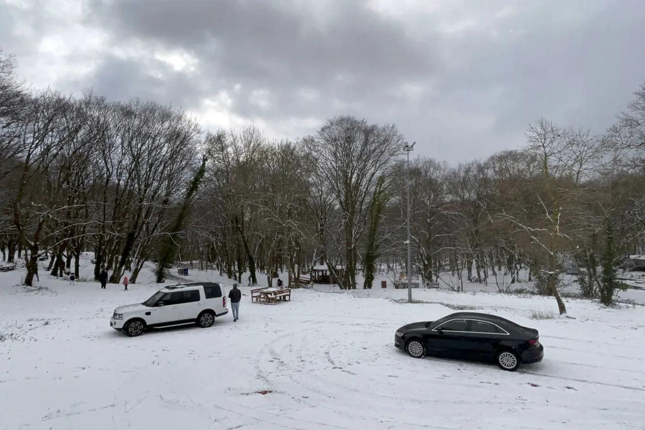 İstanbul'da kar yağışı! Birçok ilçe beyaza büründü