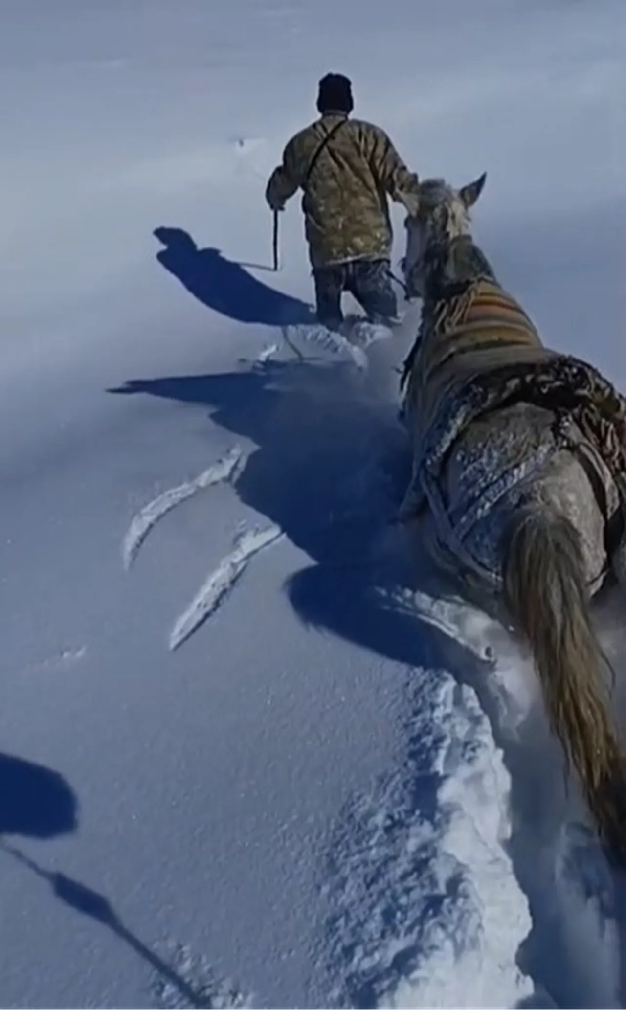 Karda mahsur kalan hayvanlar güvenlik korucuları tarafından kurtarıldı