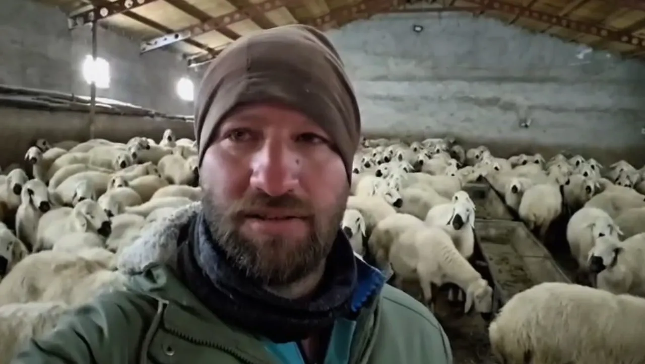 Koyunlar kar altında kaldı, çoban türküleriyle ile mest etti