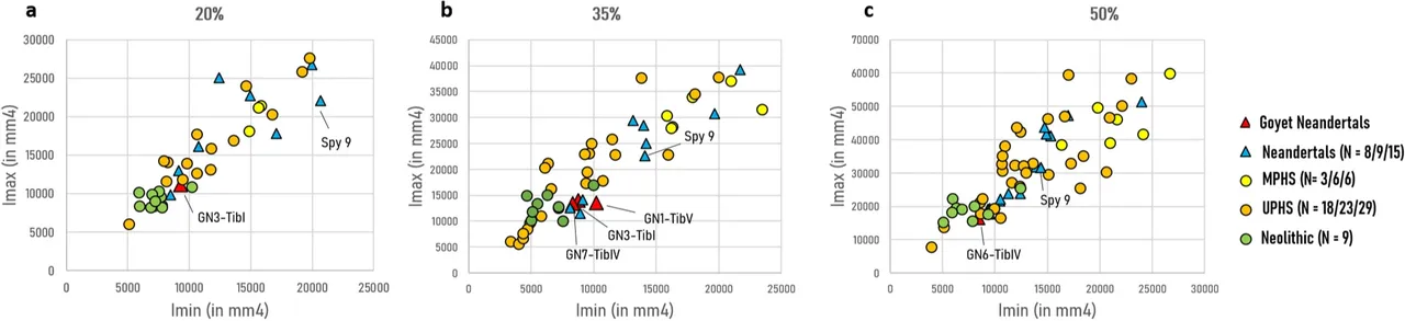 İnsanlar 45 bin yıl önce Neandertal çocukları yemiş!