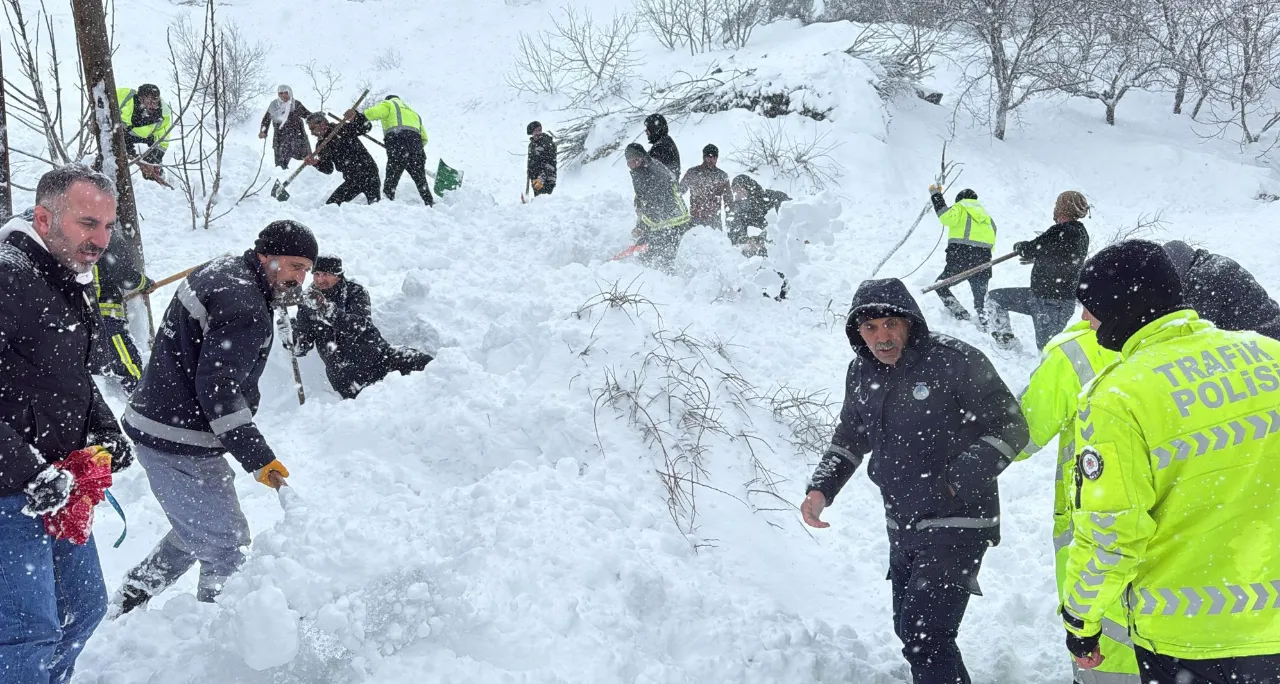 Van'da mahalleye çığ düştü! 1 kişi yaralandı