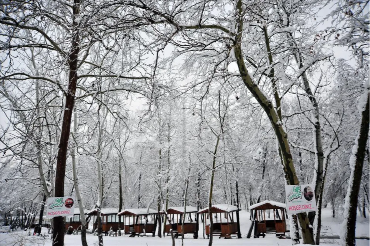Yeni yılın ilk gününde kar yağışı sürüyor! Tatil haberleri için gözler valiliklerde