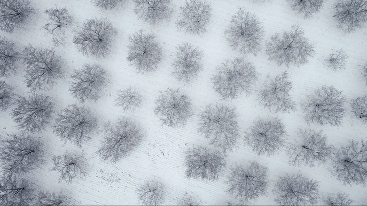 Yeni yılın ilk gününde kar yağışı sürüyor! Tatil haberleri için gözler valiliklerde