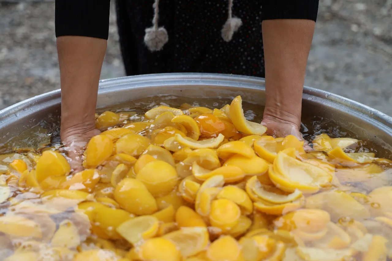 5 günlük emekle 60 kat değerleniyor: Tarlada 5 TL, kazana girince 300 TL!