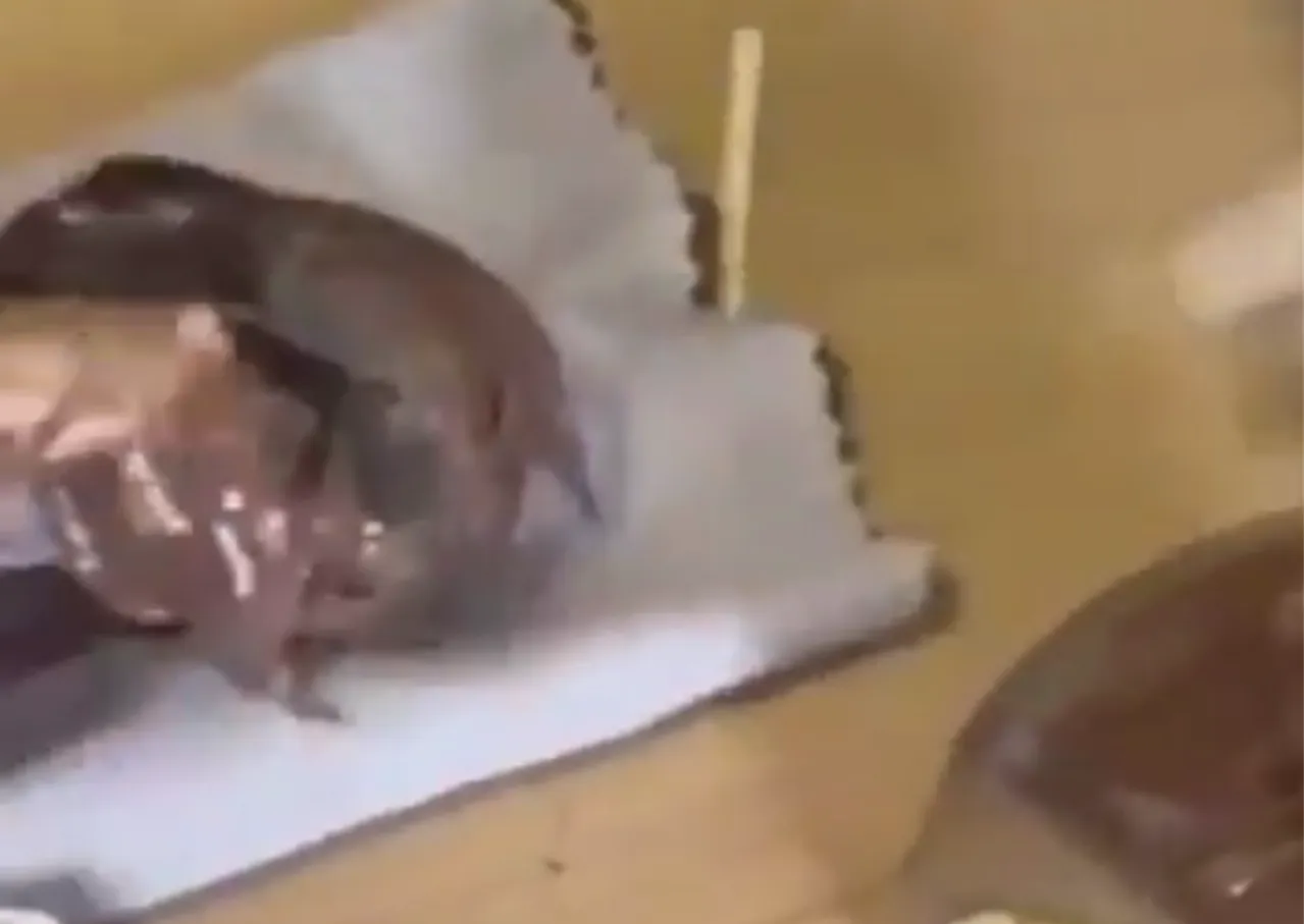 Çikolata kavanozundan kokain çıktı! Bir şüpheli gözaltında