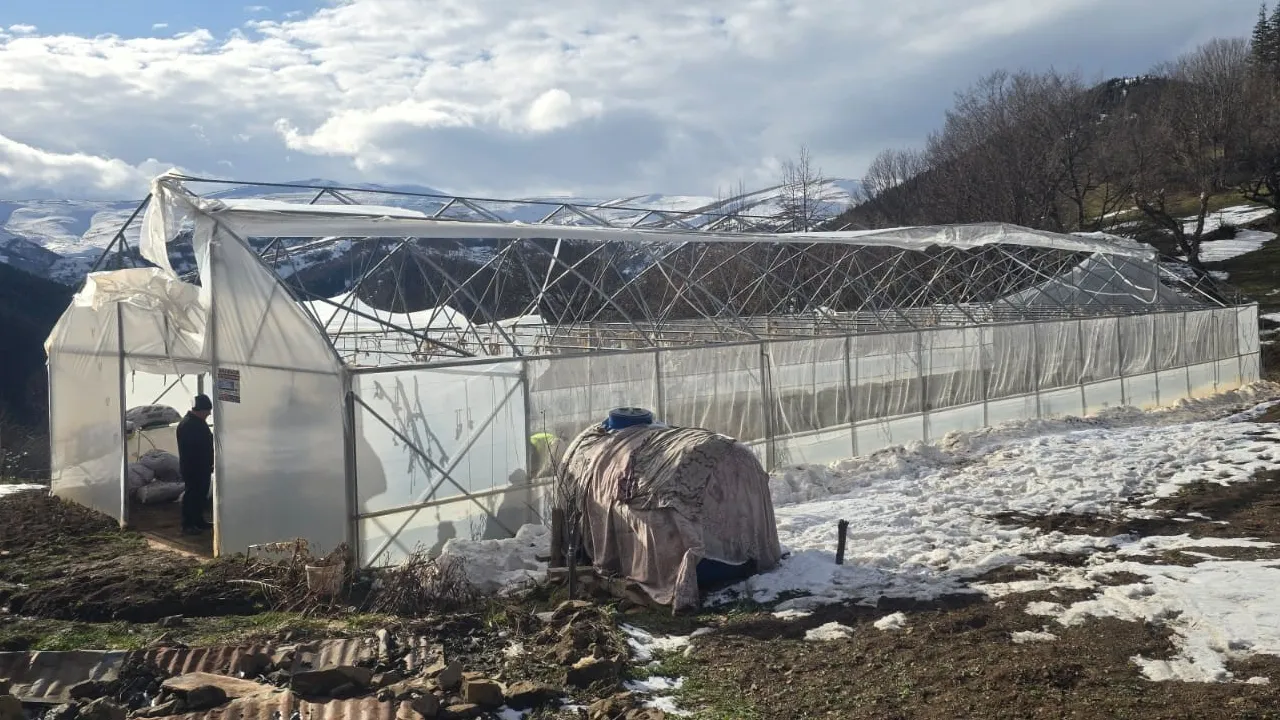 Fırtına sera ve yayla evlerini vurdu! Hasar büyük