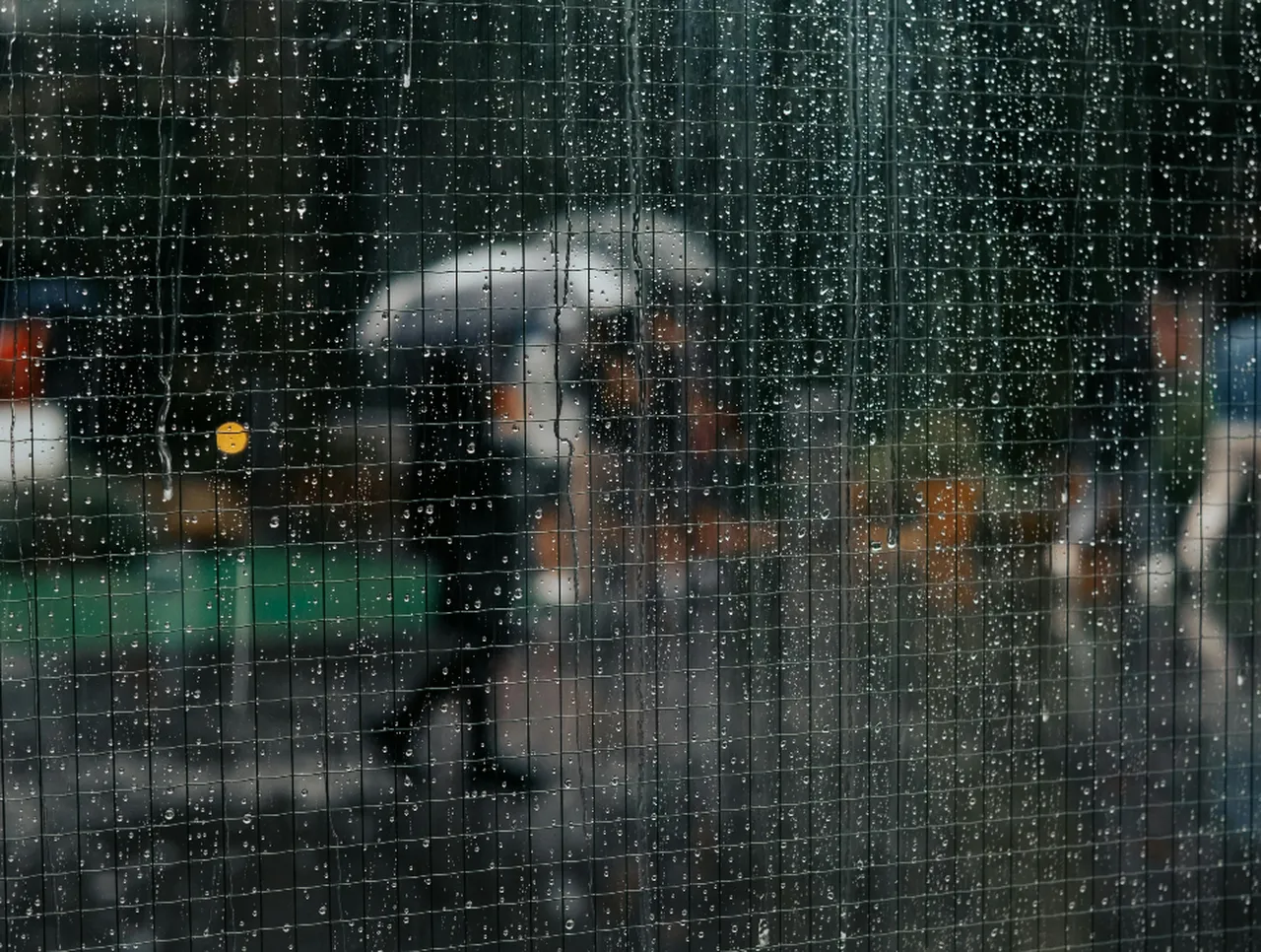 66 milyon yıl öncesinden günümüze uyarı: Yağışlar artık neden daha şiddetli ve öngörülemez?