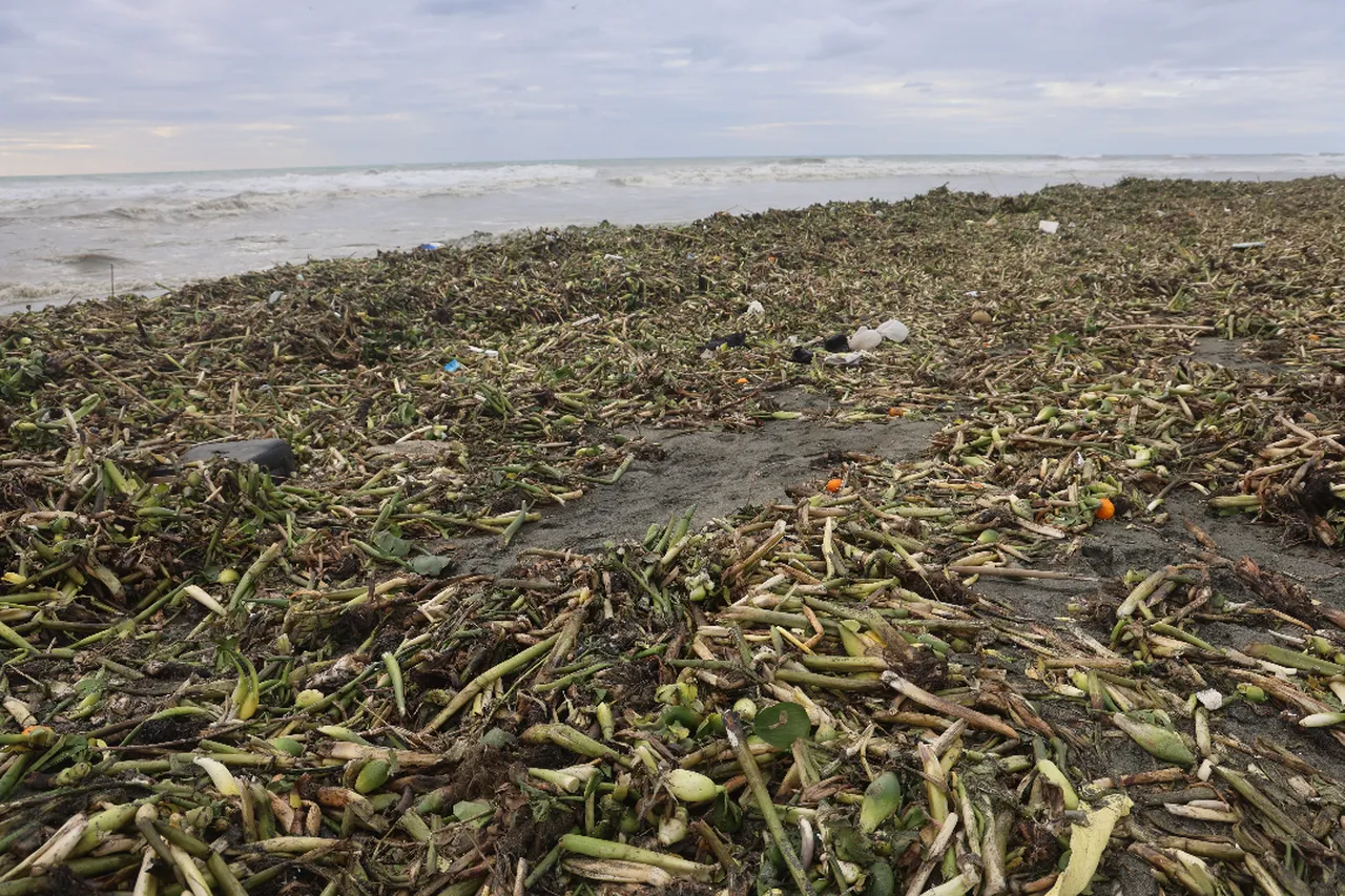 Fırtına üstüne fırtına! Çatılar uçtu, denizle kara birleşti, tabelalar devrildi