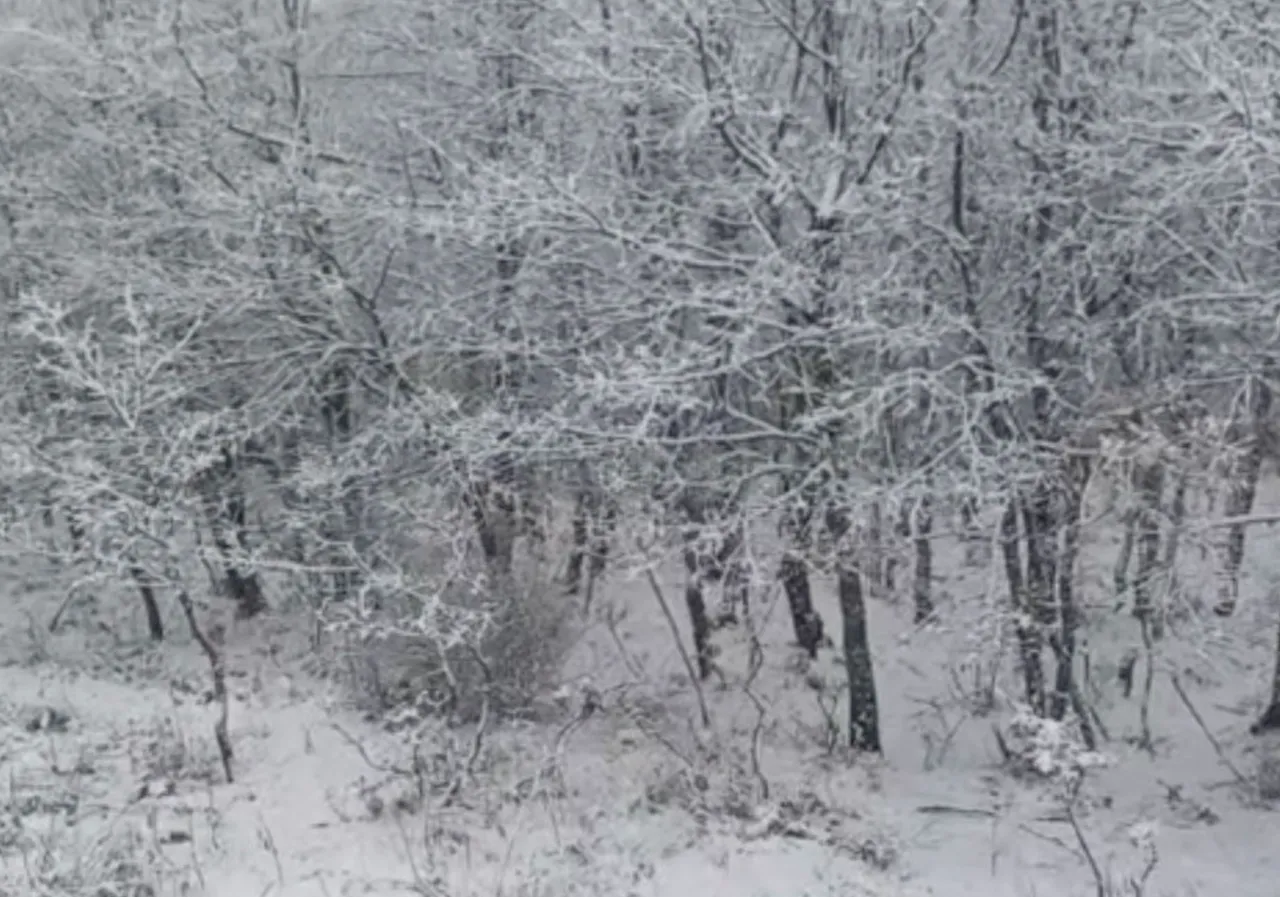 Kar adım adım İstanbula geliyor! Bir anda her yer beyaza büründü