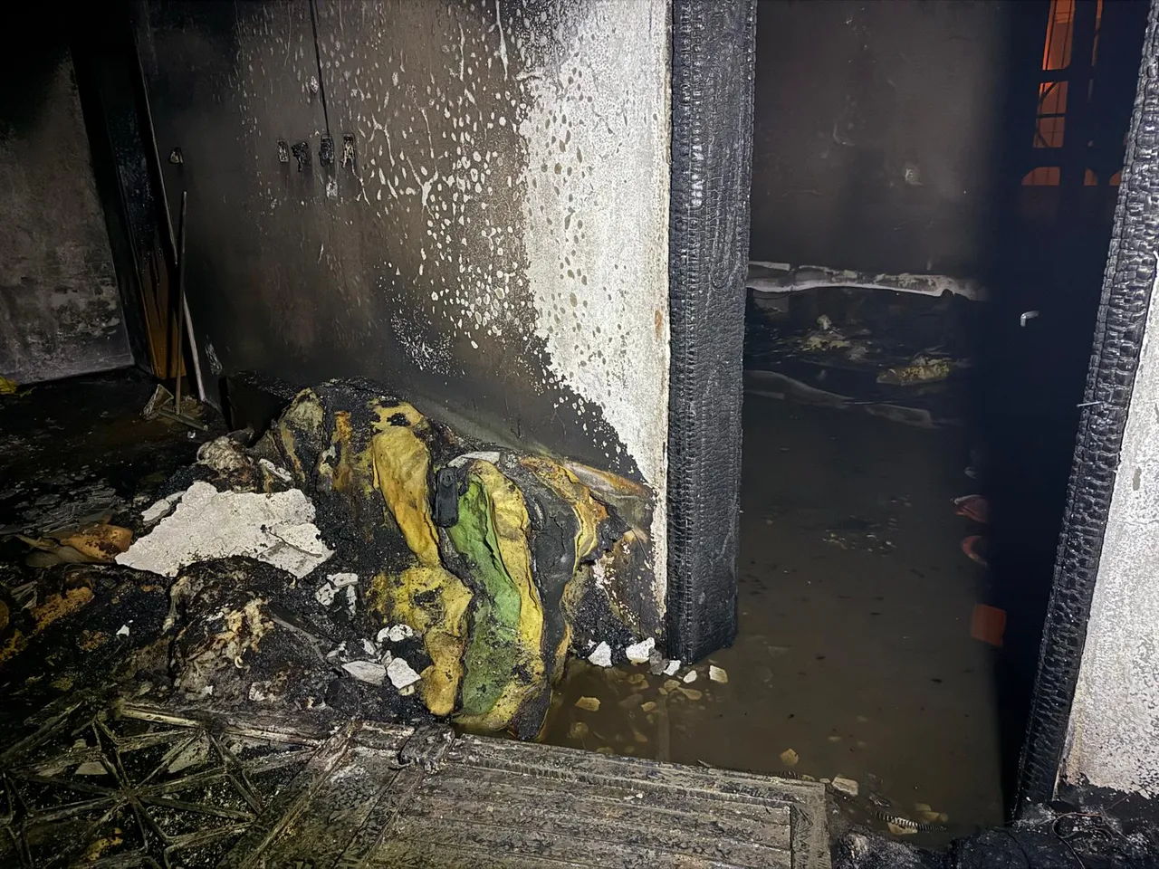 Facia nene ve torunlarının hayatını kaybetmesine neden olurken, ınlardan kalanları küle çevirdi.