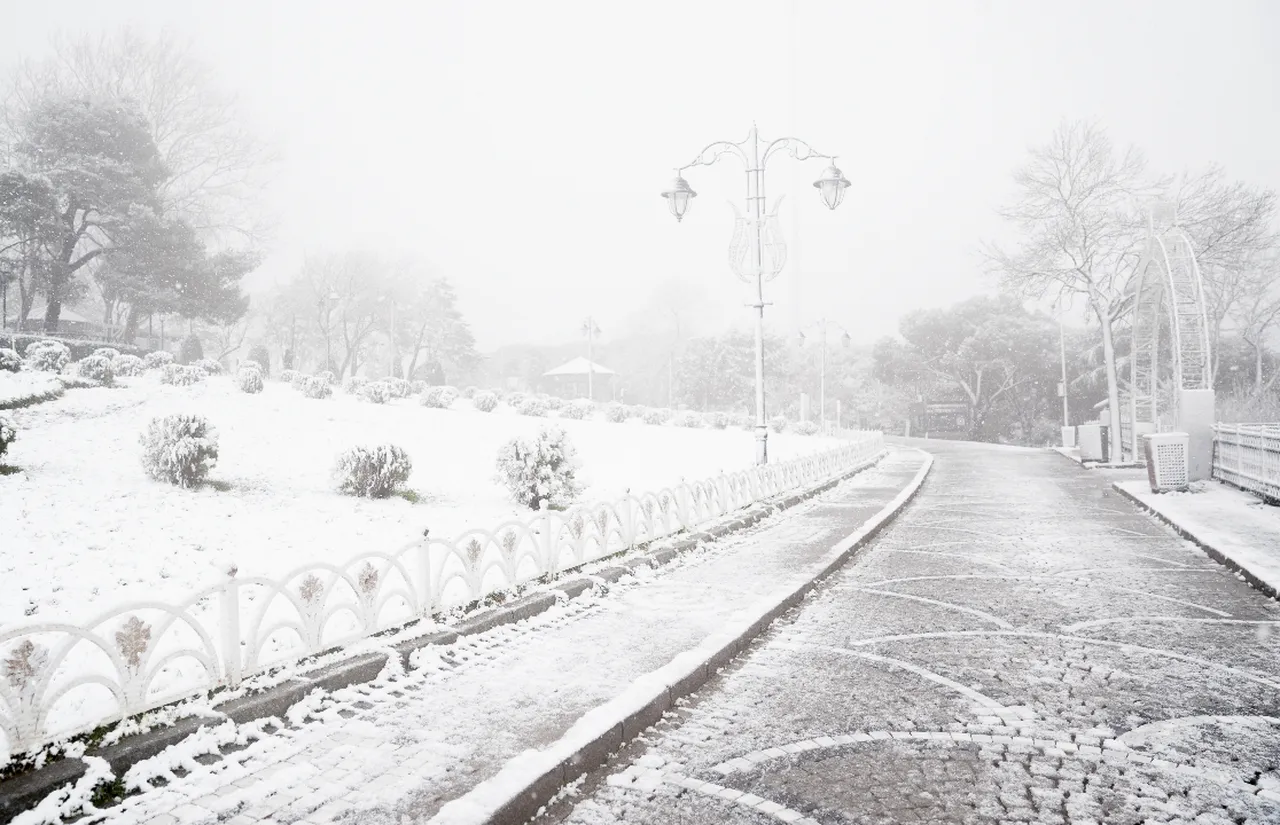 İstanbul'da kar yağışı, Çamlıca tepesi ve çevresinde etkili oldu.